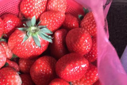 德艺堡(希宝广场店)