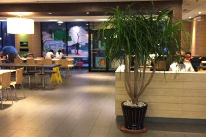 McDonald's (jiaozhouliqun)