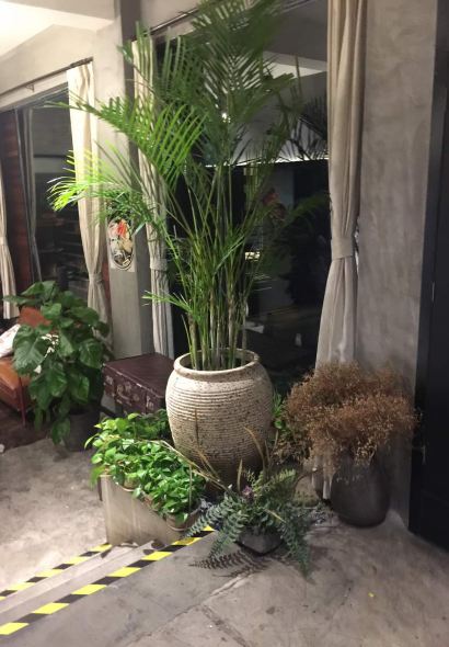 Dongdafang(An Ji Yun Hong Er Dian )