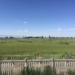 寶葫蘆西北茶食鋪（萬達店）張用戶圖片
