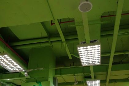 大家樂(吉之島店)