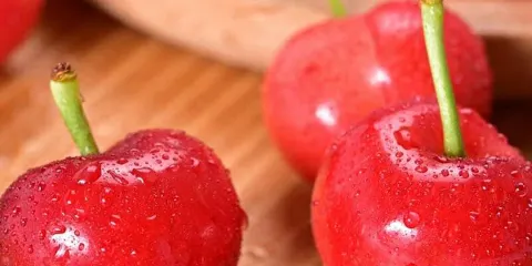 肯德基(朝陽店)