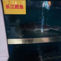 FANG WENG User Photo