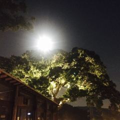 Chousan User Photo
