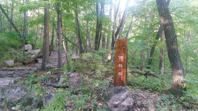 삼괴석