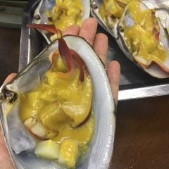 HDX-OYSTER User Photo