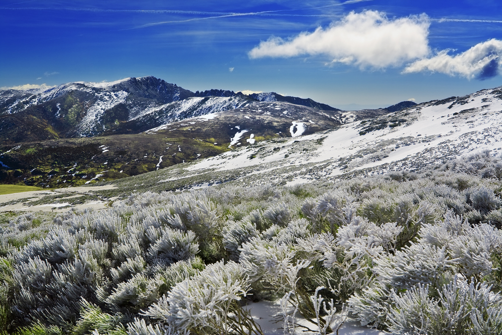 2025 Avila Travel Guide: Must-see attractions, popular food, hotels, transportation routes (updated in July)