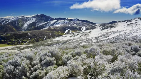 Avila travel destination