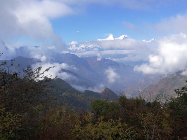 Sirentong