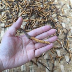 RAN WU HU YE YU ZHUANG User Photo