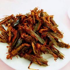 白鹿温泉餐厅 User Photo