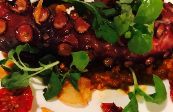 Wildcraft Sourdough Pizza