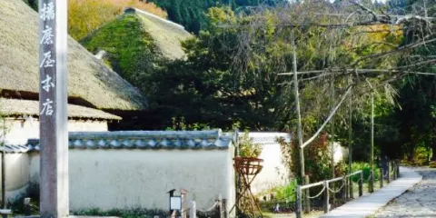 Harimaya Main Store Ikuno Main Store