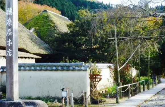 Harimaya Main Store Ikuno Main Store