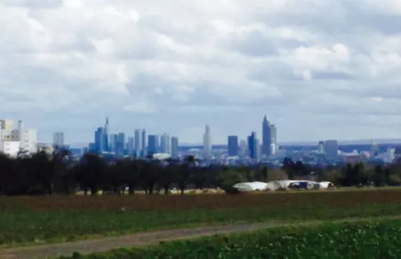 Pizzeria S. Eren & Duo