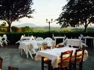 Agriturismo Il Boschetto