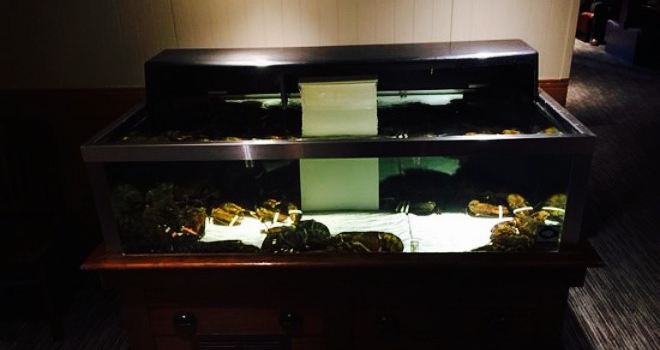Red Lobster