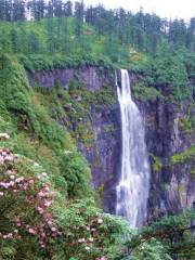 Jindingshan National Forest Park