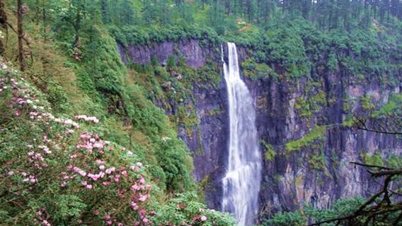Jindingshan National Forest Park
