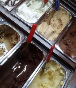 Bar Junior