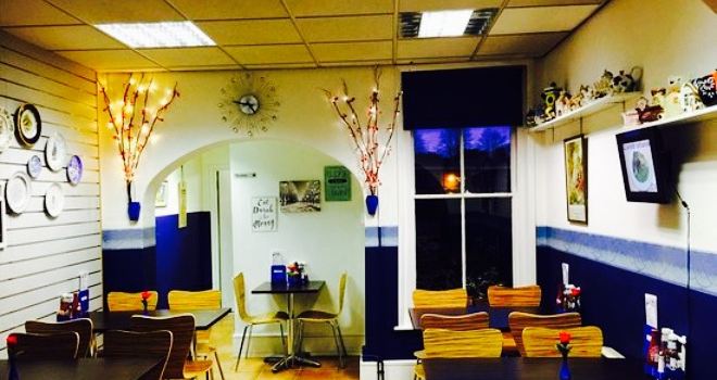 The Tea Room
