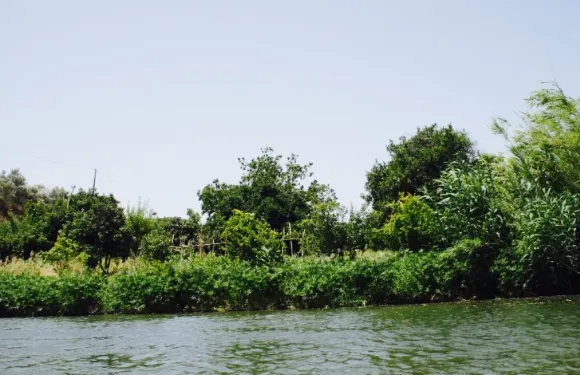 Tá-se Bem Beach Club