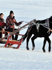 平地泉水世界冰滑雪場