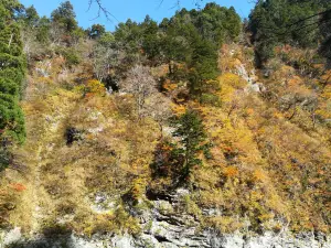 富山縣的熱門遊賞秋景好去處