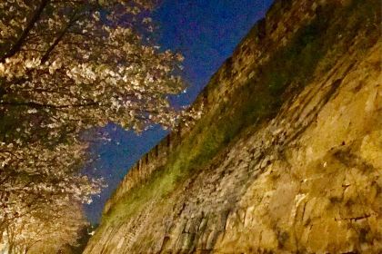 赖胖子肉蟹煲(恒太城天台店)