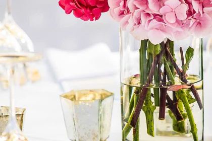 ZHOU BIAN KE ZI ZHU KUAI CAN