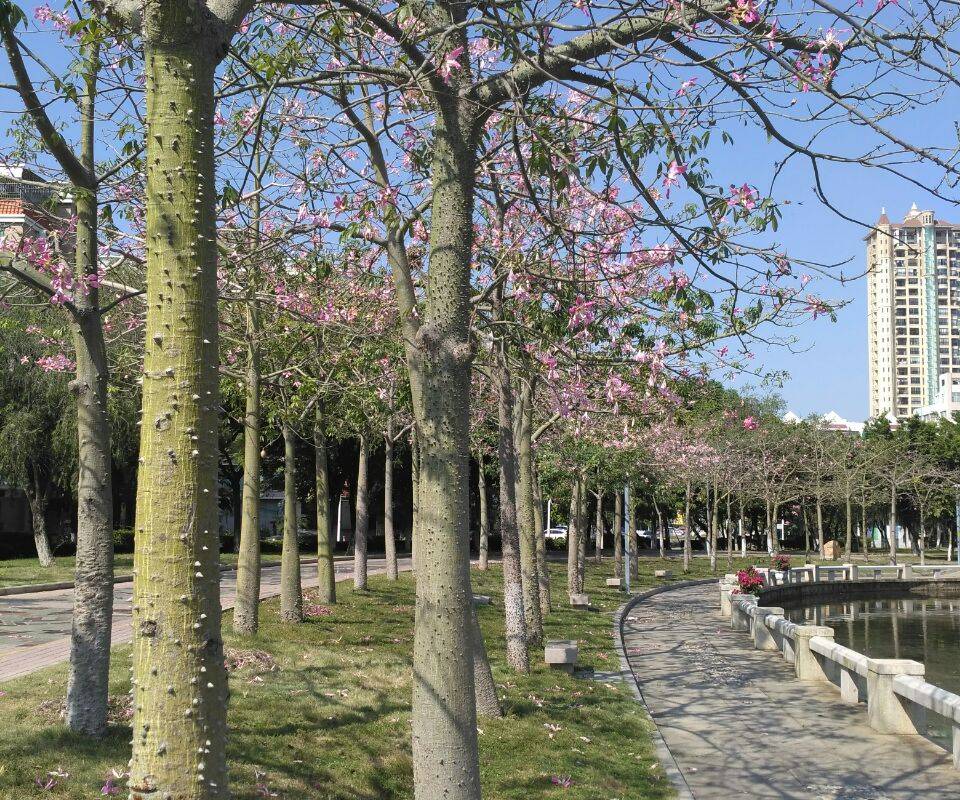 Dajia Riverside Park