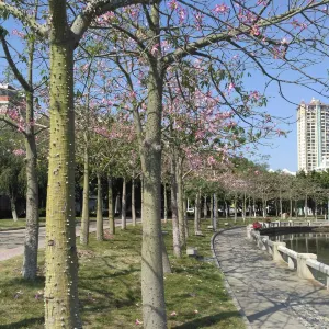 大佳河濱公園