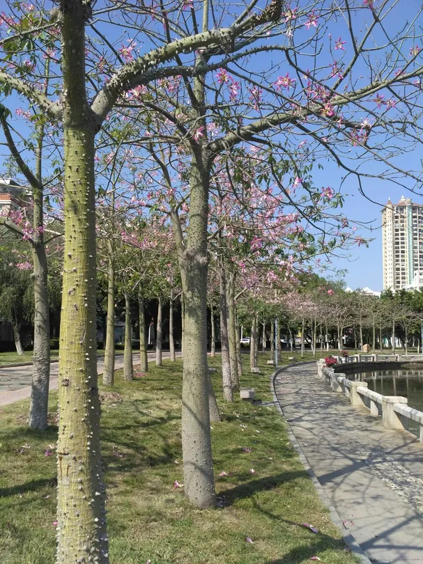 1_Dajia Riverside Park