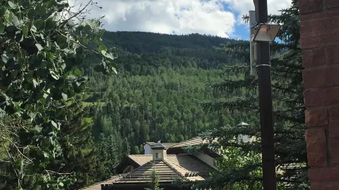 Vail Village Popcorn Wagon in 韋爾