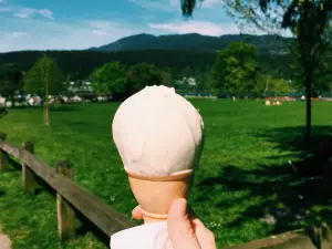 Rocky Point Ice Cream Store