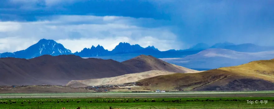 Zhegu Sceneic Area