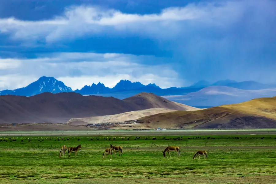 Zhegu Sceneic Area