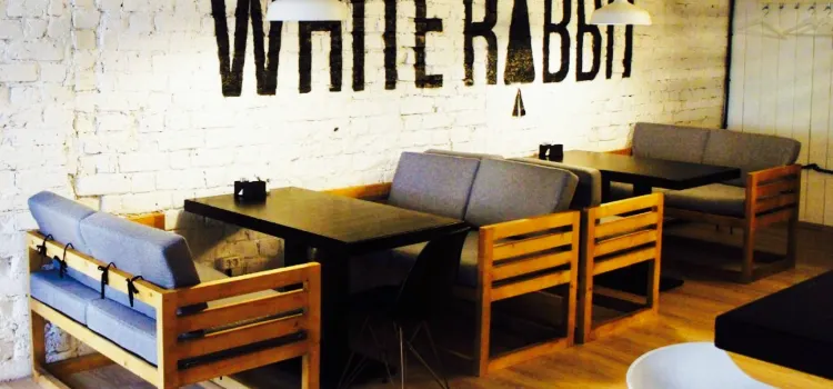 White Rabit