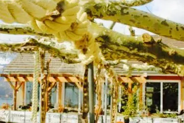 Wirtschaft zur Schifflände