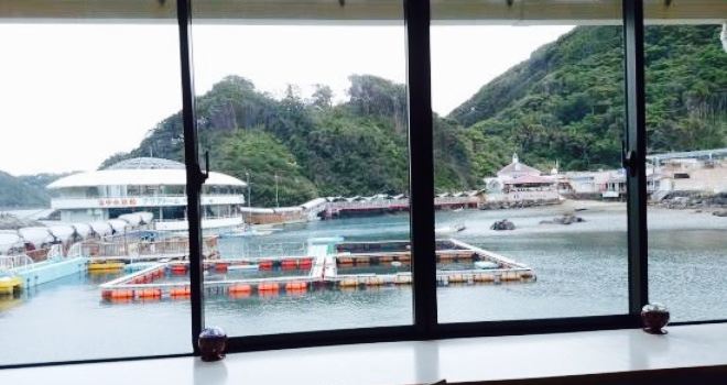 Shimoda Seaside Restaurant Dish