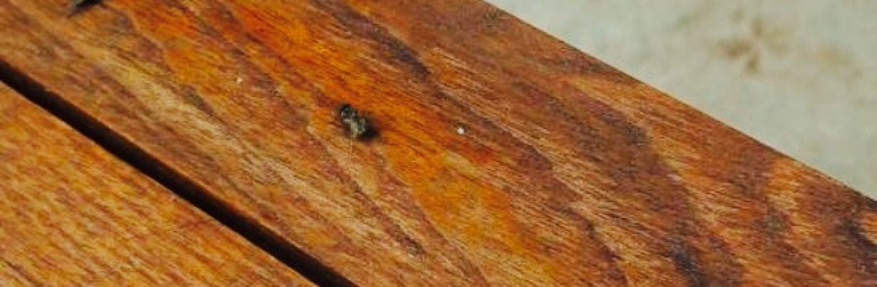 Katers Restaurant and Katers Larder