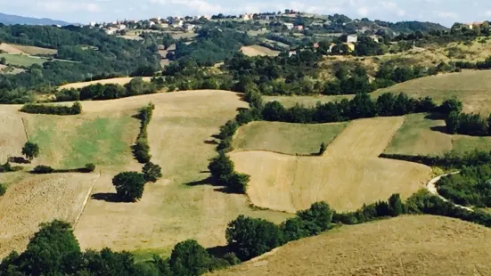 L'Orso Delle Vigne