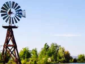 Windmill House