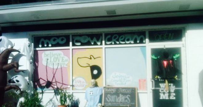 Moo Cow Ice Cream