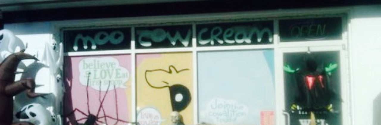 Moo Cow Ice Cream