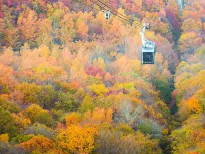 모이와 산