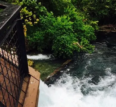 Saltgrass Steak House