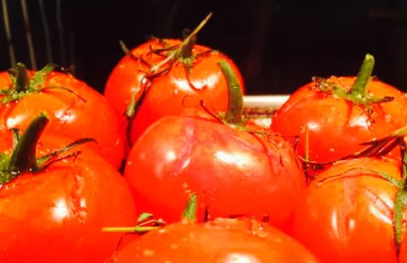 The Kings Arms, Cartmel