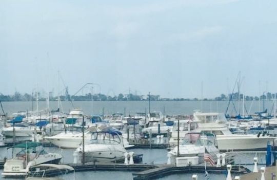 Damon's Grill and Sports Bar