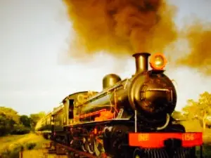 Royal Livingstone Express Steam Safari